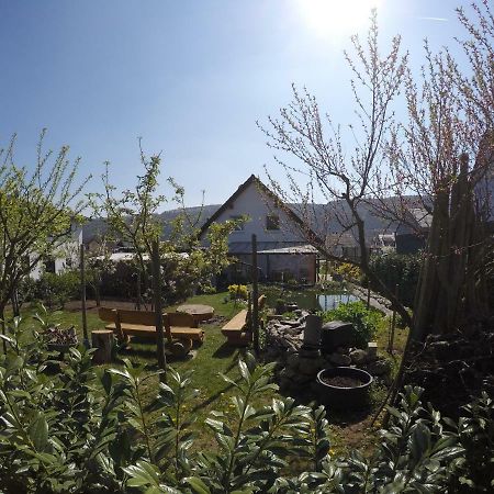 Moselie Ferienwohnung Kinheim Mosel Exteriér fotografie