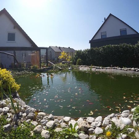 Moselie Ferienwohnung Kinheim Mosel Exteriér fotografie