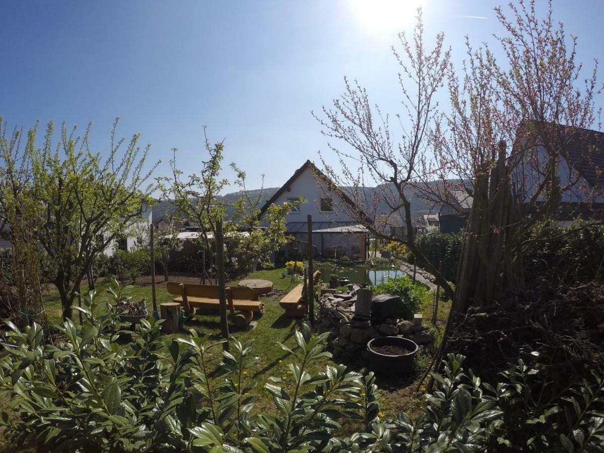Moselie Ferienwohnung Kinheim Mosel Exteriér fotografie