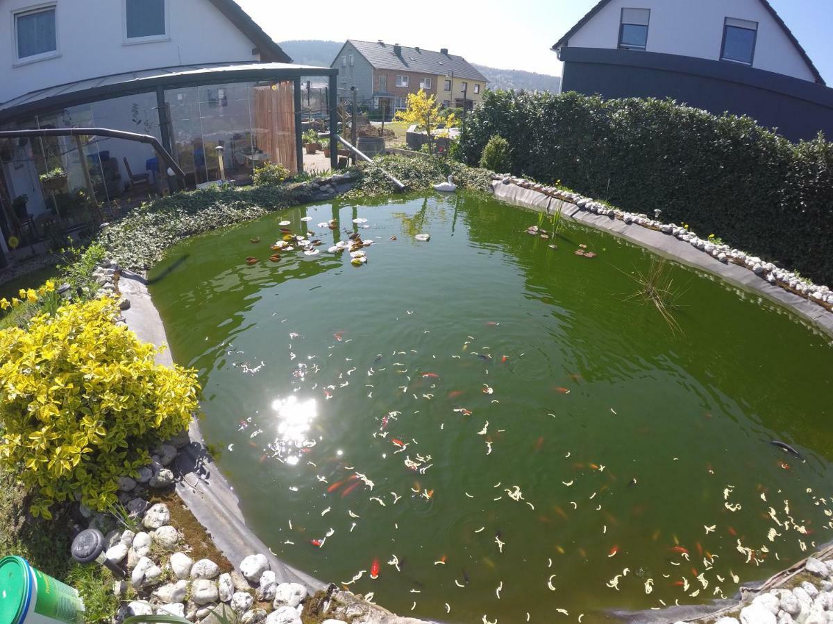 Moselie Ferienwohnung Kinheim Mosel Exteriér fotografie